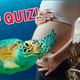 Are Women Sea Turtles? You Decide